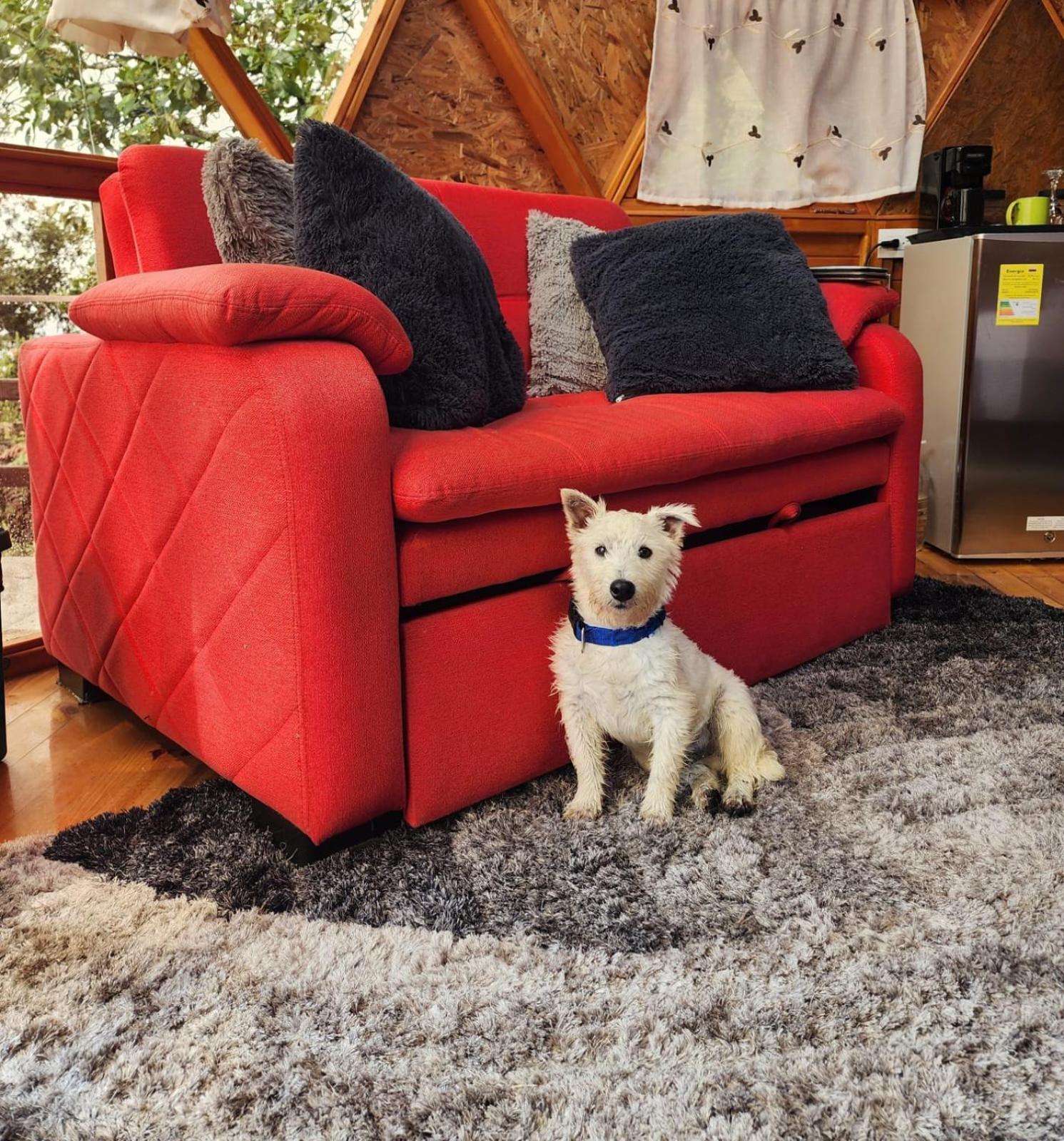 Glamping Sede Campestre Mirador De Pueblo Viejo 호텔 과타비타 외부 사진